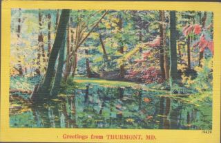 Vintage Linen Postcard - Greetings From Thurmont,  Md - 7/5,  1951