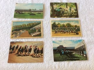 Saratoga Springs York Raceway Horse Linen Antique Postcard K36802