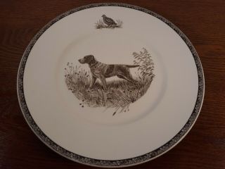 Wedgwood American Sporting Dog 11 " Plate Irish Setter Wirehaired Pointing Griffon