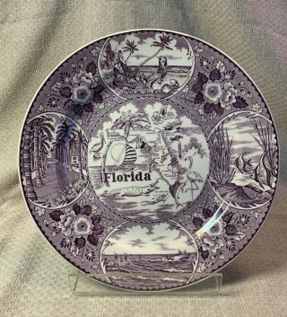 Vintage Staffordshire Made In England Enco 10 " Purple Florida Souvenir Plate