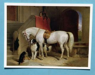 Horse Art Postcard