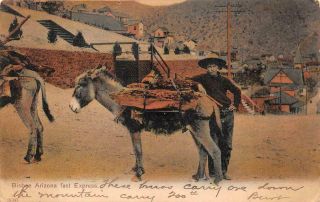 Fast Express Bisbee Arizona Donkey Benson Cancel Postcard 1906