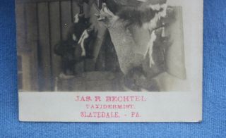 1906 Bechtel Taxidermist,  Slatedale PA Advertising Photo Postcard,  Lehigh County 2