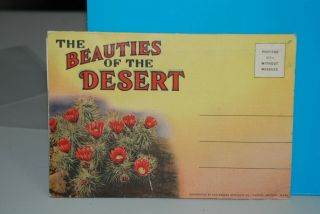 (s012) Souvenir Folder,  The Beauties Of The Desert,  18 Views