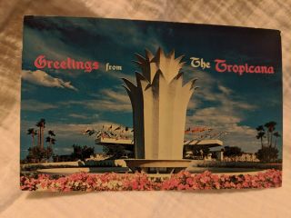 Vintage Las Vegas Postcard Tropicana Hotel Casino,  Nevada,  Rat Pack,  Elvis