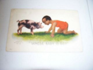 Vintage Antique Postcard Early Black Americana Boy And Pig 1908