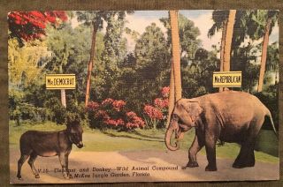H283 Vero Beach Fl Mckee Jungle Garden Elephant Repub Donkey Democrat Vintage Pc