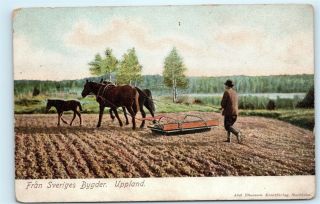 Fran Sveriges Bygder Uppland Sweden Farmer Horses Ploughing Field Postcard C20