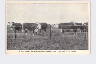 Antique Postcard Illinois Dixon De Kalb Union Fence Co U.  S.  W.  Field And Hog Fenc