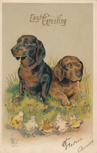 Easter Greetings,  Pu - 1907; Two Dachshunds And Five Chicks