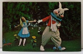 Walt Disney World Fl Alice In Wonderland White Rabbit.  Hurry Alice Postcard F6
