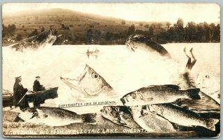 Electric Lake Oneonta N.  Y.  Fishing Exaggerated Antique 1913 Real Photo Pc Rppc