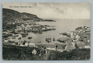 Red Island Placentia Bay Newfoundland Rare Antique Pc Dutch Advertising 1910s