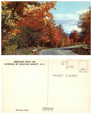 York Postcard - Greetings From Catskills Of Sullivan County (a15)