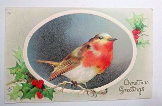 Antique Embossed 1907 - 15 " Christmas Greetings " Robin On Holly Branch Pc