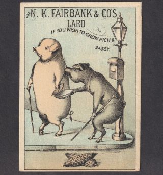 West Camden ME 1800 ' s Fairbanks Lard Rich Sassy Pig Letterbox Corn Ad Trade Card 2