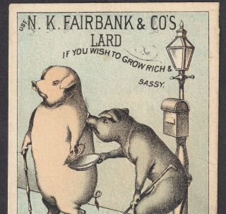 West Camden ME 1800 ' s Fairbanks Lard Rich Sassy Pig Letterbox Corn Ad Trade Card 4