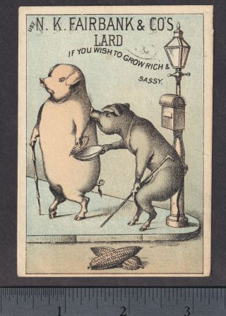 West Camden ME 1800 ' s Fairbanks Lard Rich Sassy Pig Letterbox Corn Ad Trade Card 6