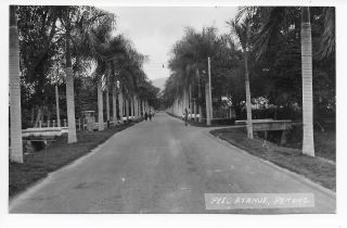Penang Peel Ayanue Avenue Malaysia Vintage Real Photo Agfa Postcard