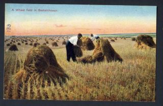 Saskatchewan N.  W.  Canada - Wheat Field Hay Stacks S.  P.  G.  Series 20