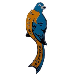 Drumpf.  Wtf Votes For Women Suffrage Bird Feminist Election Enamel Pin From He.