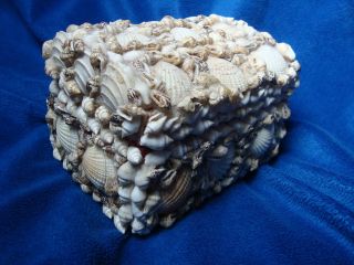 Vintage Seashell Jewelry Trinket Box