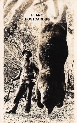 Seward,  Alaska " Hunting Guide With Huge Dead Bear - 1915 " Rppc Real Photo Postcard