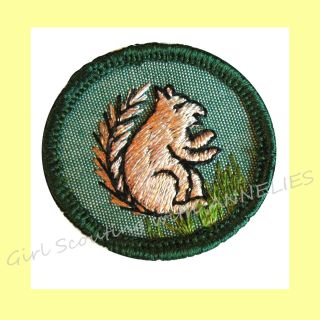 Mammal 1960 - 62 Only,  Intermediate Girl Scout Badge Squirrel Combine Htf