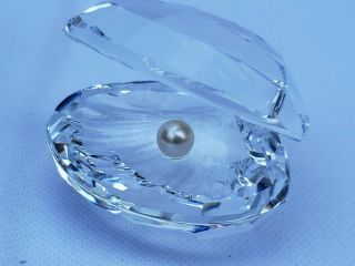 Swarovski Crystal Oyster Shell With Pearl Figurine 7624 Nr 55 W/box