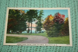 Vintage Postcard Greetings From Lake Ontario,  Wilcott,  N.  Y.  2