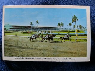 Vintage Postcard Gulfstream Park,  Hallandale,  Fl,  Dog Racing