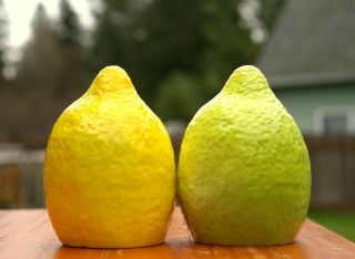 Lemon & Lime Citrus Salt & Pepper Shaker Set With Plastic Stoppers 3 1/2 " Tall