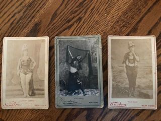 Antique Photos (3) Newsboy Tobacco Cards 1890s - Vernon,  Little Egypt,  Fuller