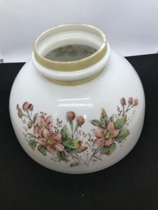 Oil Lamp Student Half Shade Aladdin Rayo Coleman B&H 10” Inch Fitter Floral 6