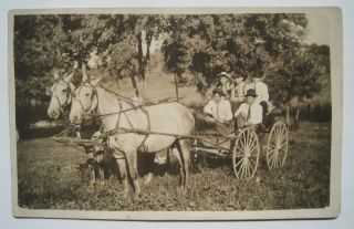 5 Young Men On Horse Drawn Buggy Old Rppc Postcard; 1909 Eyota Mn Postmark