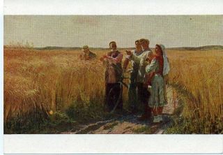 1958 Grain Ripe For Harvest By L.  Fattakhov (tatarstan) Russian Unposted Postcard