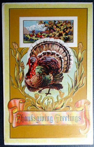 Postcard Thanksgiving Greetings Large Turkey 1913