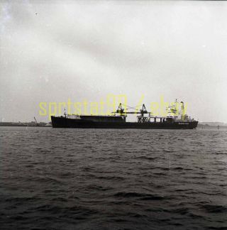 Seatrain Lines General Cargo Vessel - Vintage B&w Freighter / Ship Negative