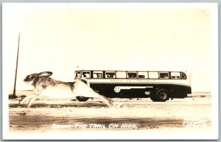 Rabbit & Bus Exaggerated Vintage Real Photo Postcard Rppc Santa Fe Trailways
