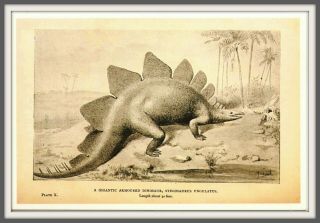 Dinosaur Stegosaurus Prehistoric Animals Paleontology Art Joseph Smith Postcard