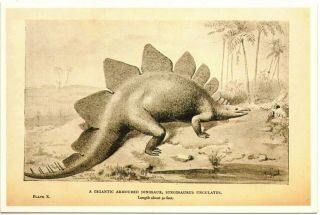 DINOSAUR Stegosaurus Prehistoric animals Paleontology Art Joseph Smith Postcard 2