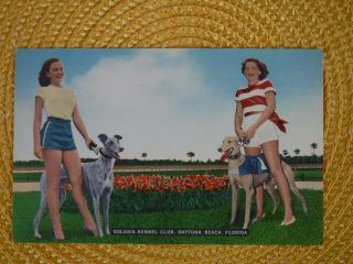 Florida,  Daytona Beach,  Volusia Kennel Club Women With Greyhound Dogs,  Ca 1940
