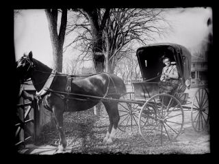 Woman Horse & Buggy Oak Bluffs Martha 