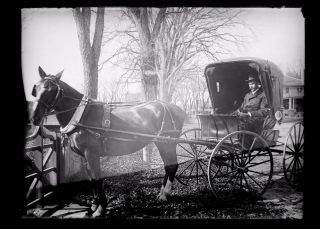 Man In Horse & Buggy Oak Bluffs Martha 