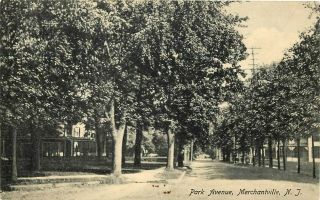 1908 Jersey Photo Postcard: View Of Park Avenue,  Merchantville,  Nj