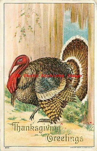 Thanksgiving,  Julius Bien No 9005,  Large Male Turkey Breaks Through Fence