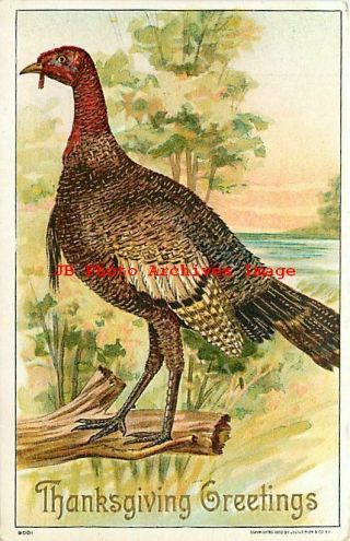 Thanksgiving,  Julius Bien No 9001,  Large Female Turkey On Log
