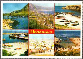 Unsed Postcard,  South Africa,  Hermanus Multiview,  Cape Province