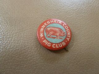 Vintage Pinback Button - Winnesheik County Pig Club (winneshiek) (iowa)
