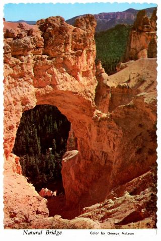 Natural Bridge Utah Postcard Bryce Canyon National Park Limestone Vintage